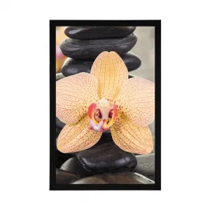 Plagát žltá orchidea a Zen kamene