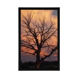 Plagát nádherný strom na lúke