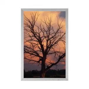 Plagát nádherný strom na lúke