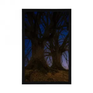 Plagát stromy v nočnej krajine