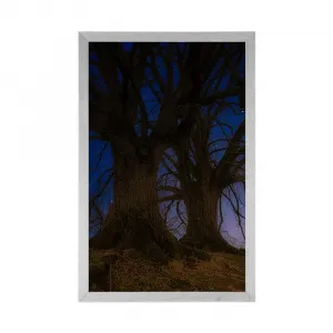 Plagát stromy v nočnej krajine