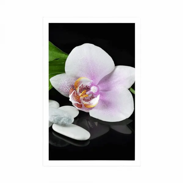 Plagát zen kamene a orchidea