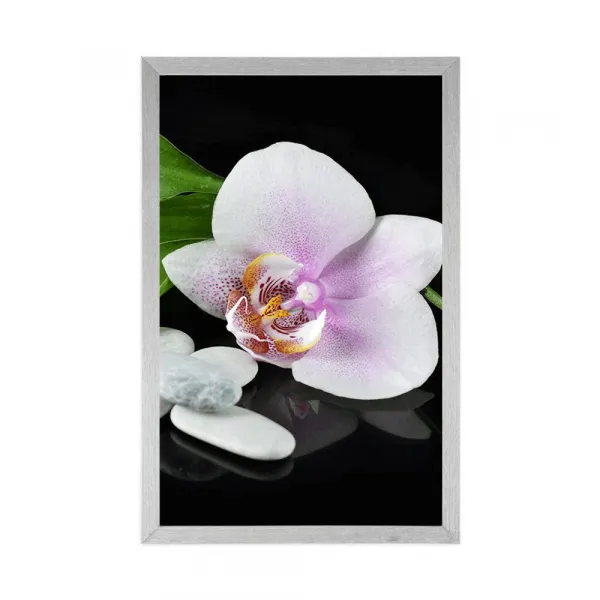 Plagát zen kamene a orchidea