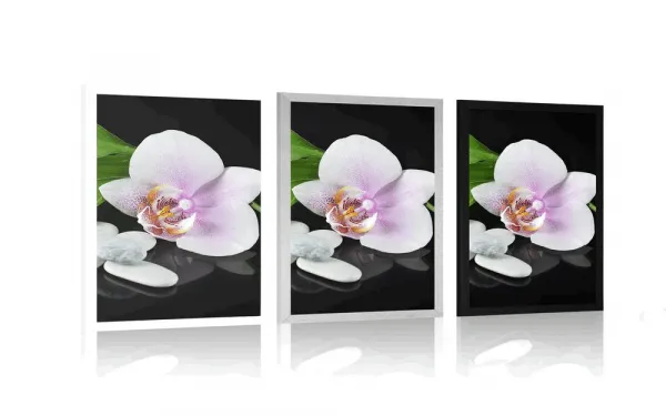 Plagát zen kamene a orchidea