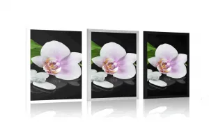Plagát zen kamene a orchidea