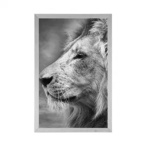 Plagát africký lev v čiernobielom prevedení