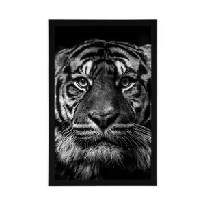 Plagát tiger v čiernobielom prevedení
