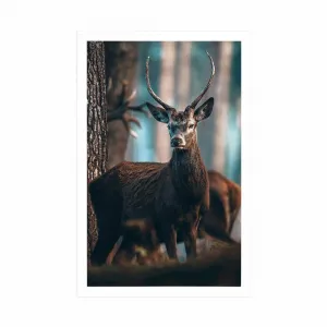 Plagát jeleň v lese