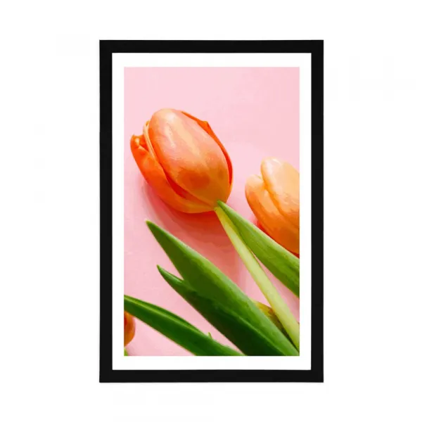 Plagát s paspartou elegantný tulipán