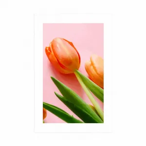 Plagát s paspartou elegantný tulipán