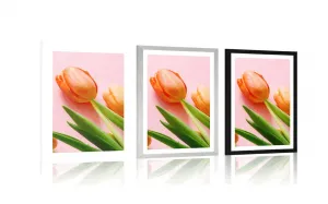 Plagát s paspartou elegantný tulipán