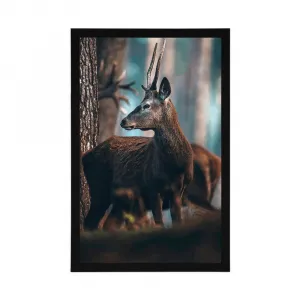 Plagát jeleň v borovicovom lese