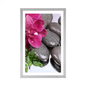 Plagát s paspartou kvitnúca orchidea a wellness kamene