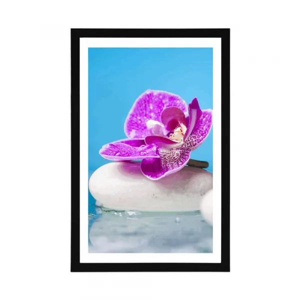 Plagát s paspartou orchidea a Zen kamene