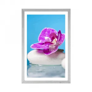 Plagát s paspartou orchidea a Zen kamene