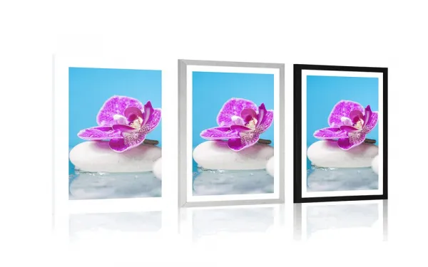 Plagát s paspartou orchidea a Zen kamene