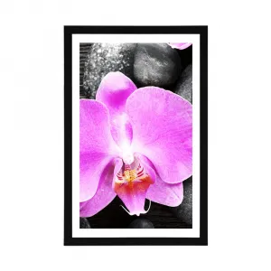 Plagát s paspartou nádherná orchidea a kamene