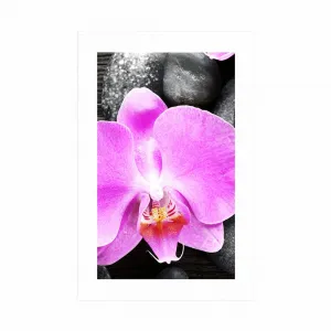 Plagát s paspartou nádherná orchidea a kamene