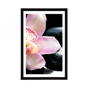 Plagát s paspartou exotická orchidea