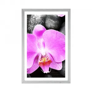 Plagát s paspartou nádherná orchidea a kamene