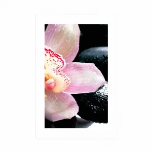 Plagát s paspartou exotická orchidea