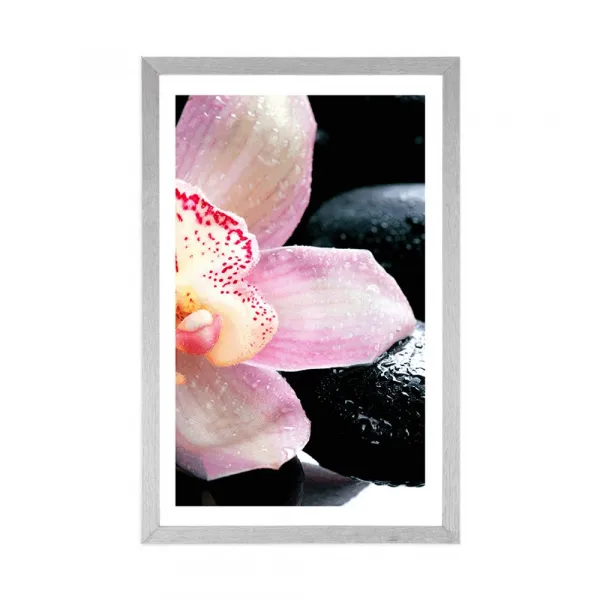 Plagát s paspartou exotická orchidea
