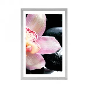 Plagát s paspartou exotická orchidea