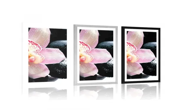Plagát s paspartou exotická orchidea