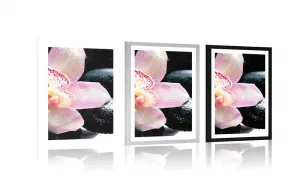 Plagát s paspartou exotická orchidea