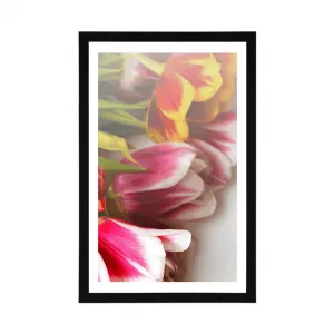 Plagát s paspartou kytica farebných tulipánov