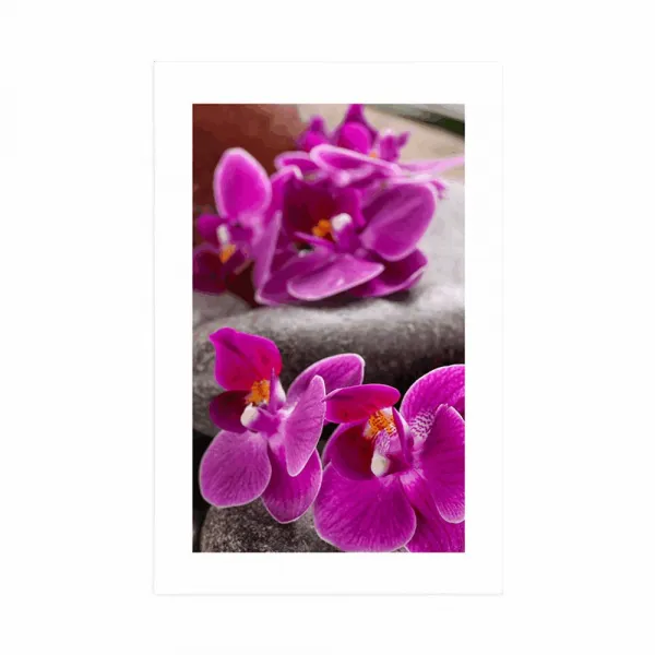 Plagát s paspartou nádherná orchidea a Zen kamene