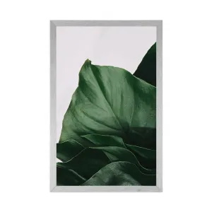 Plagát okúzľujúci list monstery