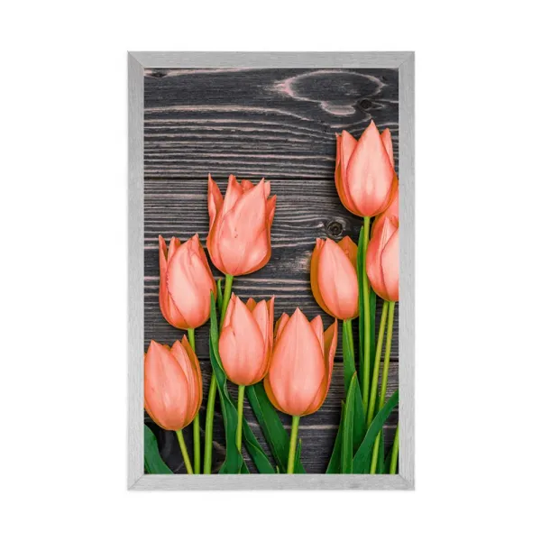 Plagát oranžové tulipány na drevenom podklade