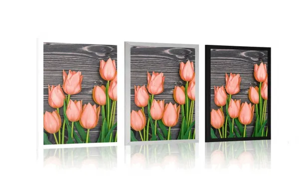 Plagát oranžové tulipány na drevenom podklade