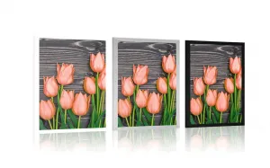 Plagát oranžové tulipány na drevenom podklade