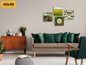 Set obrazov lúka plná kvetov