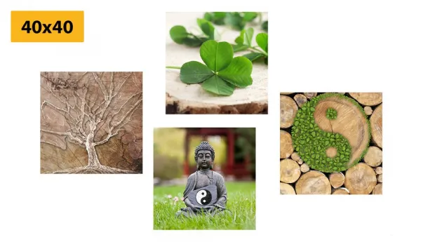 Set obrazov Feng Shui s prvkami prírody