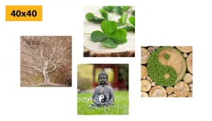 Set obrazov Feng Shui s prvkami prírody
