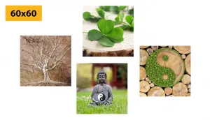 Set obrazov Feng Shui s prvkami prírody