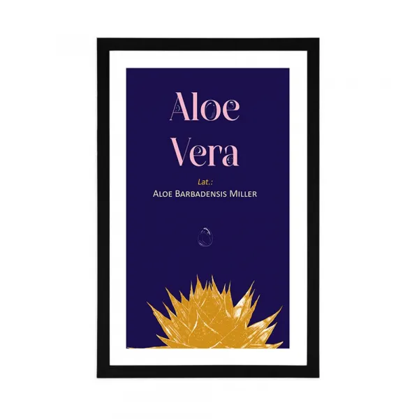 Plagát s paspartou a nápisom Aloe Vera