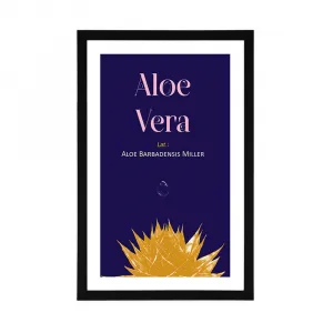 Plagát s paspartou a nápisom Aloe Vera