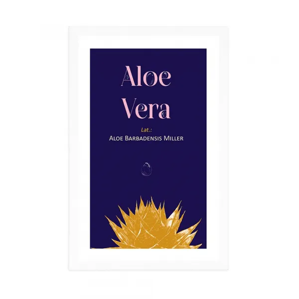 Plagát s paspartou a nápisom Aloe Vera