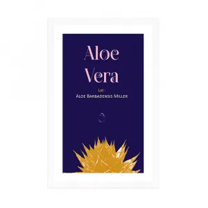 Plagát s paspartou a nápisom Aloe Vera