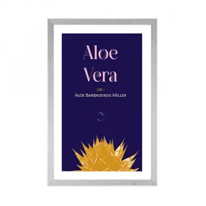 Plagát s paspartou a nápisom Aloe Vera