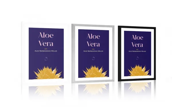 Plagát s paspartou a nápisom Aloe Vera
