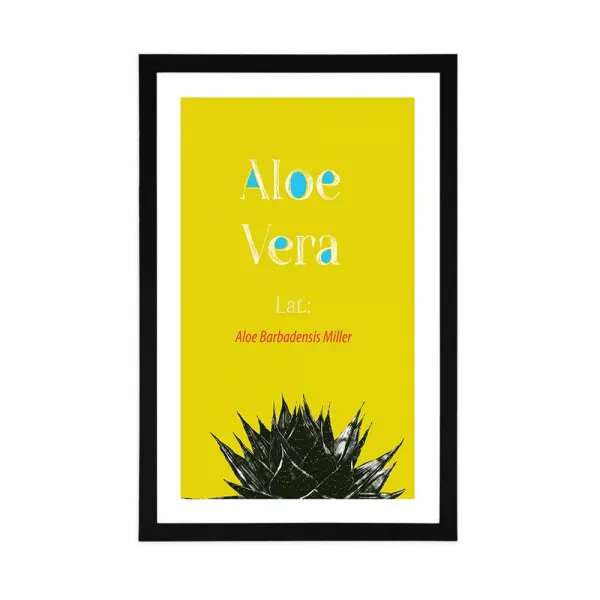 Plagát s paspartou zázračná Aloe Vera