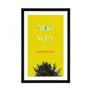 Plagát s paspartou zázračná Aloe Vera