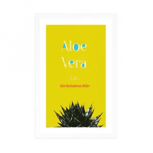 Plagát s paspartou zázračná Aloe Vera