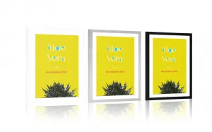 Plagát s paspartou zázračná Aloe Vera