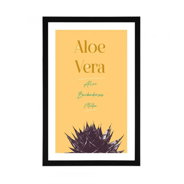 Plagát s paspartou a štýlovým nápisom Aloe Vera